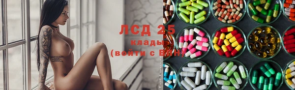 spice Алексеевка