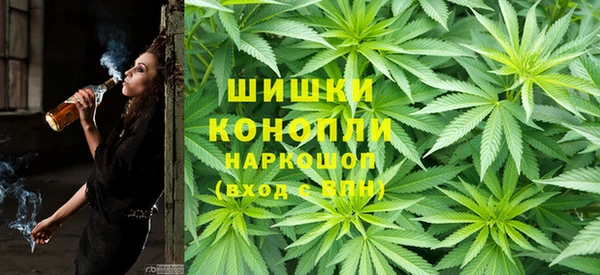 spice Алзамай