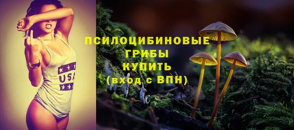 spice Алзамай