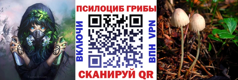 наркошоп  Тейково  Галлюциногенные грибы MAGIC MUSHROOMS 